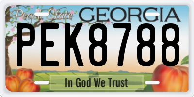 GA license plate PEK8788