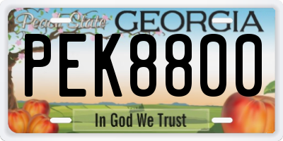 GA license plate PEK8800