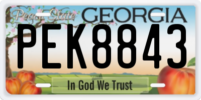 GA license plate PEK8843