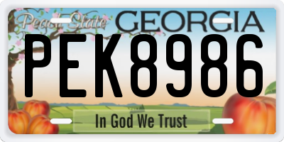 GA license plate PEK8986