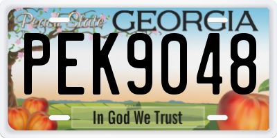 GA license plate PEK9048