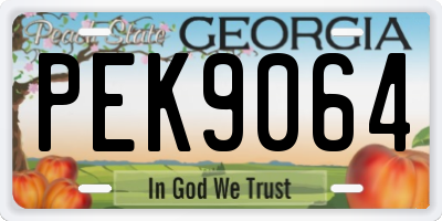 GA license plate PEK9064