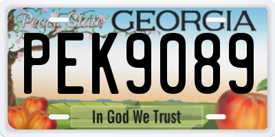 GA license plate PEK9089