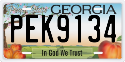 GA license plate PEK9134