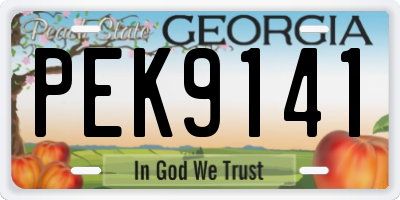 GA license plate PEK9141