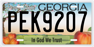 GA license plate PEK9207