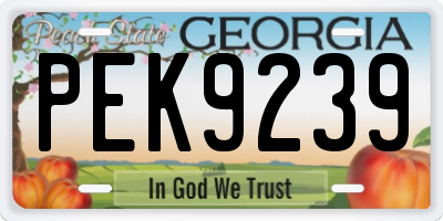GA license plate PEK9239