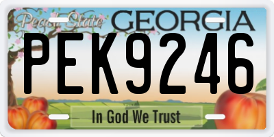 GA license plate PEK9246