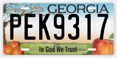 GA license plate PEK9317