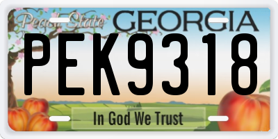 GA license plate PEK9318