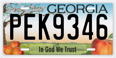 GA license plate PEK9346