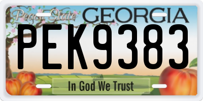 GA license plate PEK9383