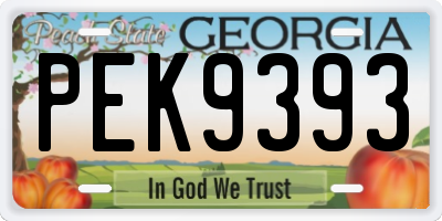 GA license plate PEK9393