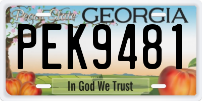 GA license plate PEK9481