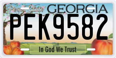 GA license plate PEK9582