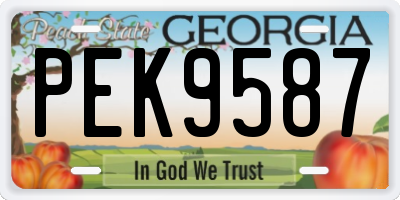 GA license plate PEK9587
