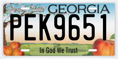 GA license plate PEK9651