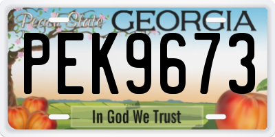 GA license plate PEK9673