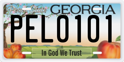 GA license plate PEL0101