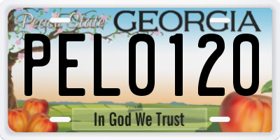 GA license plate PEL0120