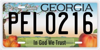 GA license plate PEL0216
