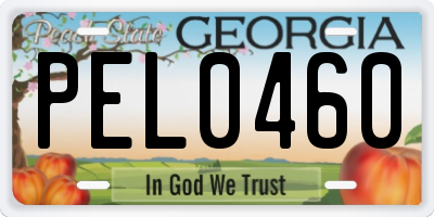 GA license plate PEL0460