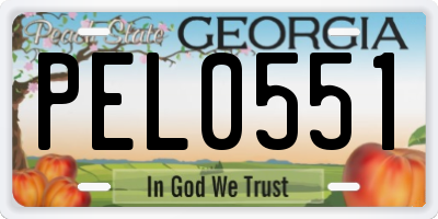 GA license plate PEL0551