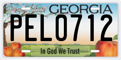 GA license plate PEL0712