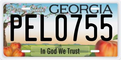 GA license plate PEL0755