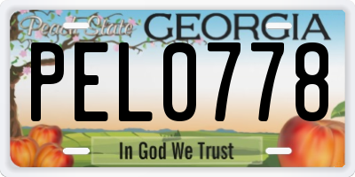 GA license plate PEL0778
