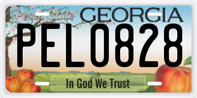 GA license plate PEL0828