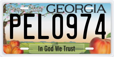 GA license plate PEL0974
