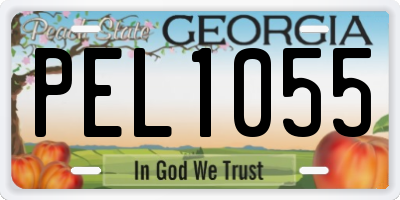 GA license plate PEL1055