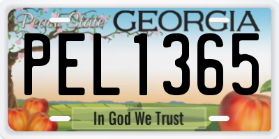 GA license plate PEL1365