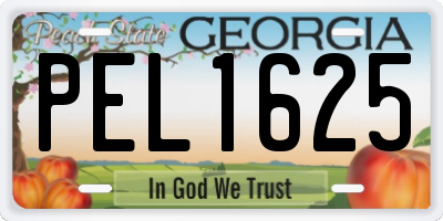 GA license plate PEL1625