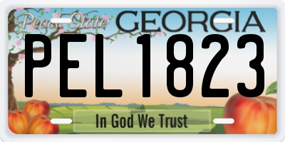 GA license plate PEL1823