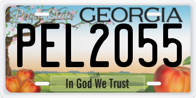 GA license plate PEL2055