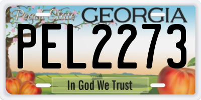 GA license plate PEL2273