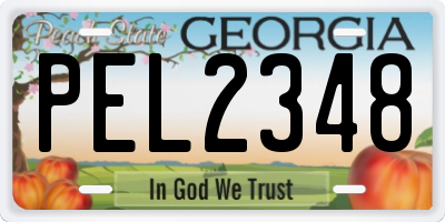 GA license plate PEL2348