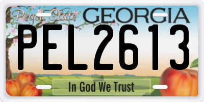 GA license plate PEL2613