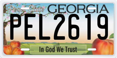 GA license plate PEL2619