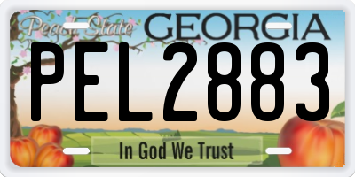 GA license plate PEL2883