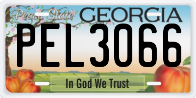 GA license plate PEL3066