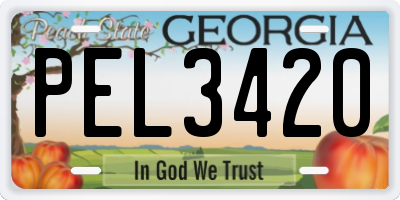 GA license plate PEL3420