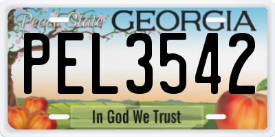 GA license plate PEL3542
