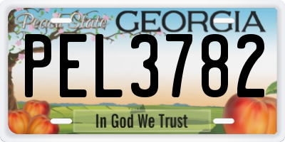 GA license plate PEL3782