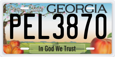 GA license plate PEL3870