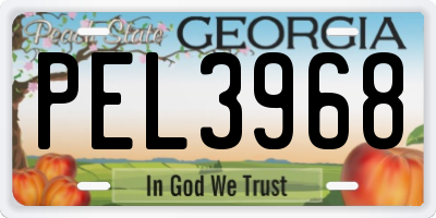 GA license plate PEL3968