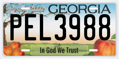 GA license plate PEL3988
