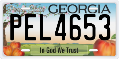 GA license plate PEL4653
